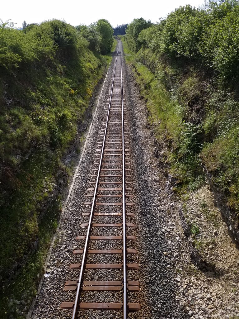 Régénération de la ligne des horlogers