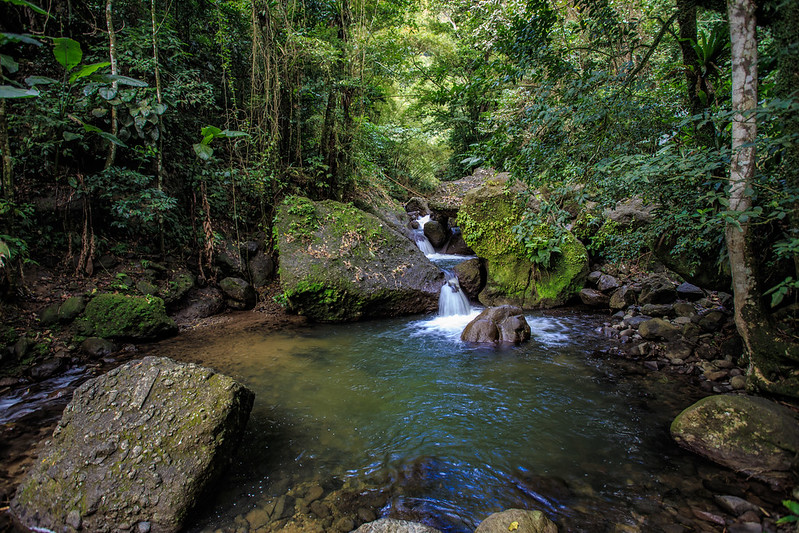 Expertise climat - Martinique